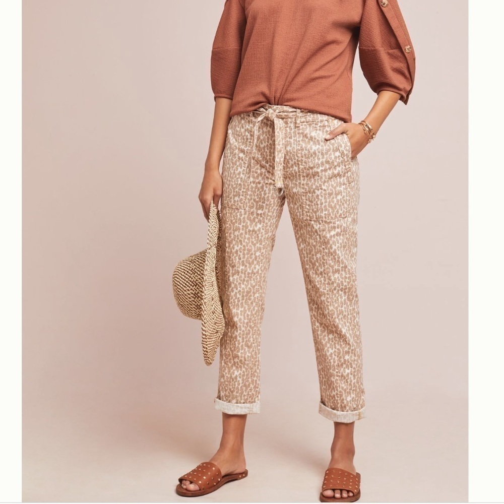 ANTHROPOLOGIE The Wanderer Utility pants - Picture 1 of 8